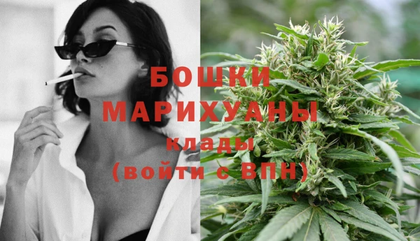 крисы Армянск