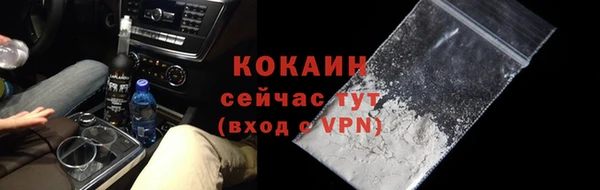 крисы Армянск