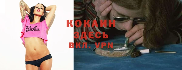 крисы Армянск