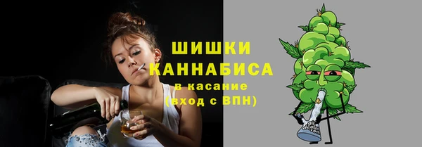 крисы Армянск